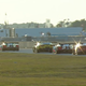 Illustration for article titled Sebring 12H Streams w/ Updates